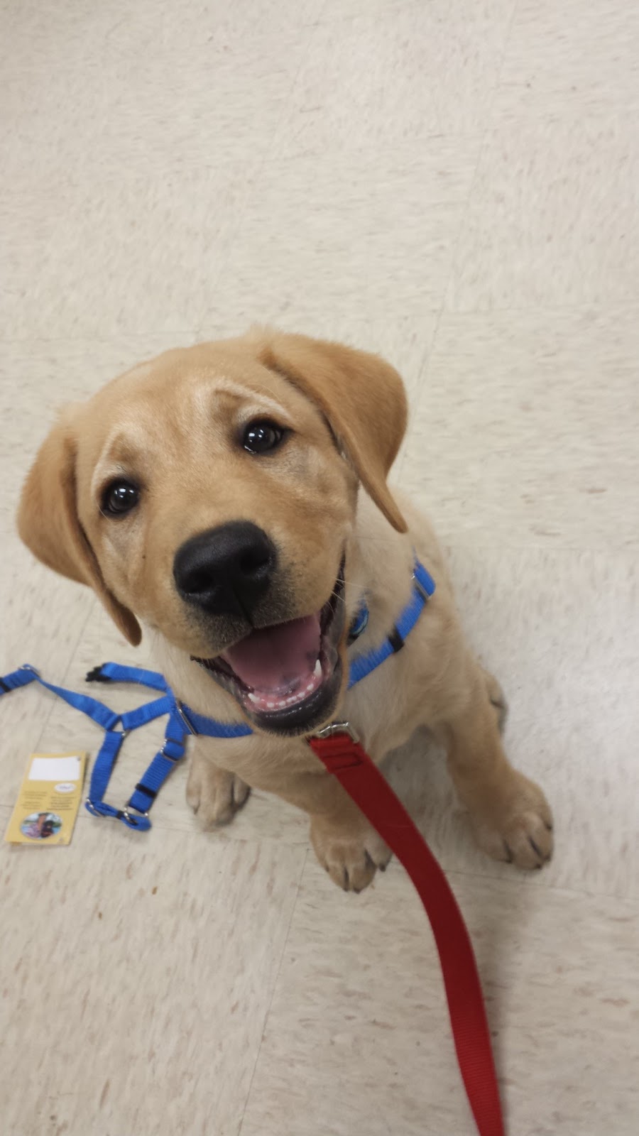 Miss Behavior's Blog