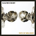 Sleater-Kinney - Path of Wellness Music Album Reviews