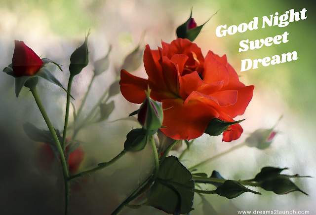 good night blessings images good night blessings images