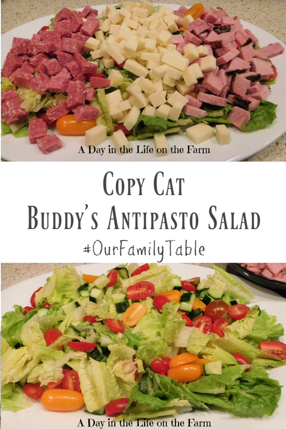 A Day in the Life on the Farm Copycat Buddy's Antipasto Salad 