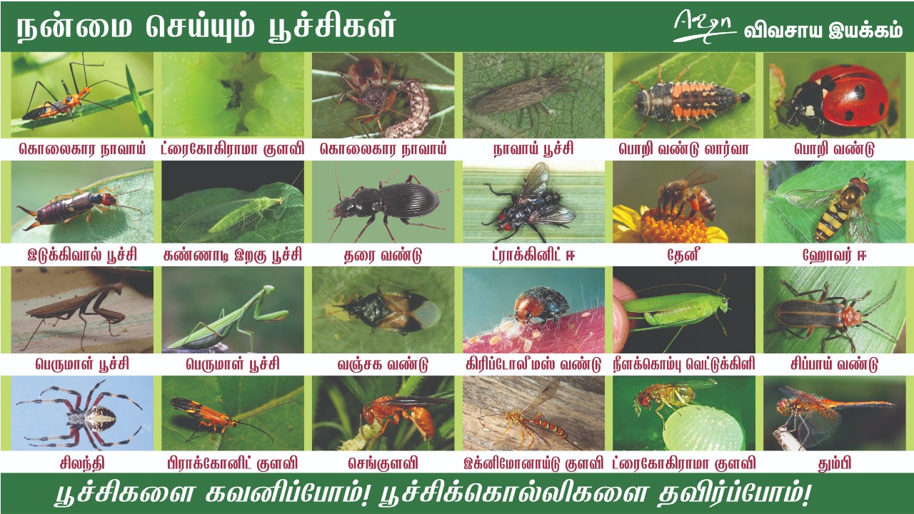 Velan Kaadu Beneficial Insects