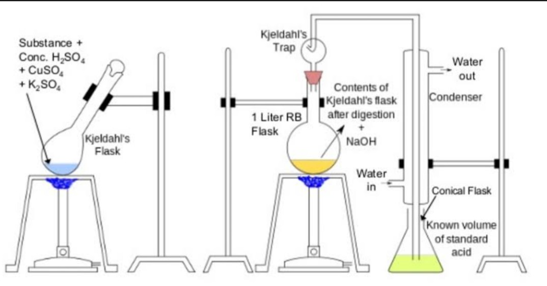 4 Cara Menguji Protein