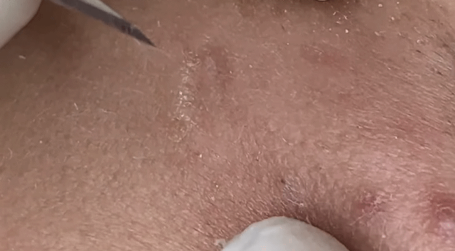 d12e74eda454481e2e3ab4b3fa8e4c69569504e8