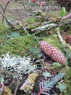 Ideas and Inspirations: Weihnachtlicher Garten * Christmas Garden