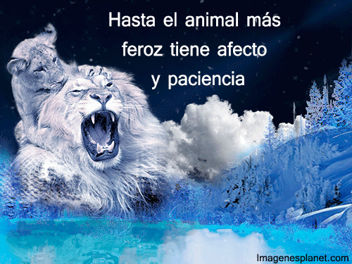 Resultado de imagen de frases en movimiento de reflexion