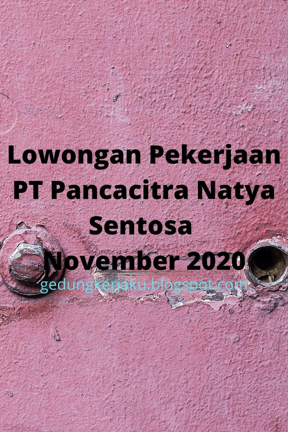 Lowongan Pekerjaan PT Pancacitra Natya Sentosa November 2020