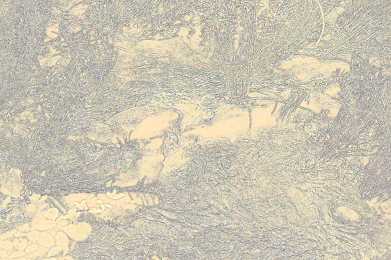 공주 태화산 마곡사 공주 태화산 마곡사