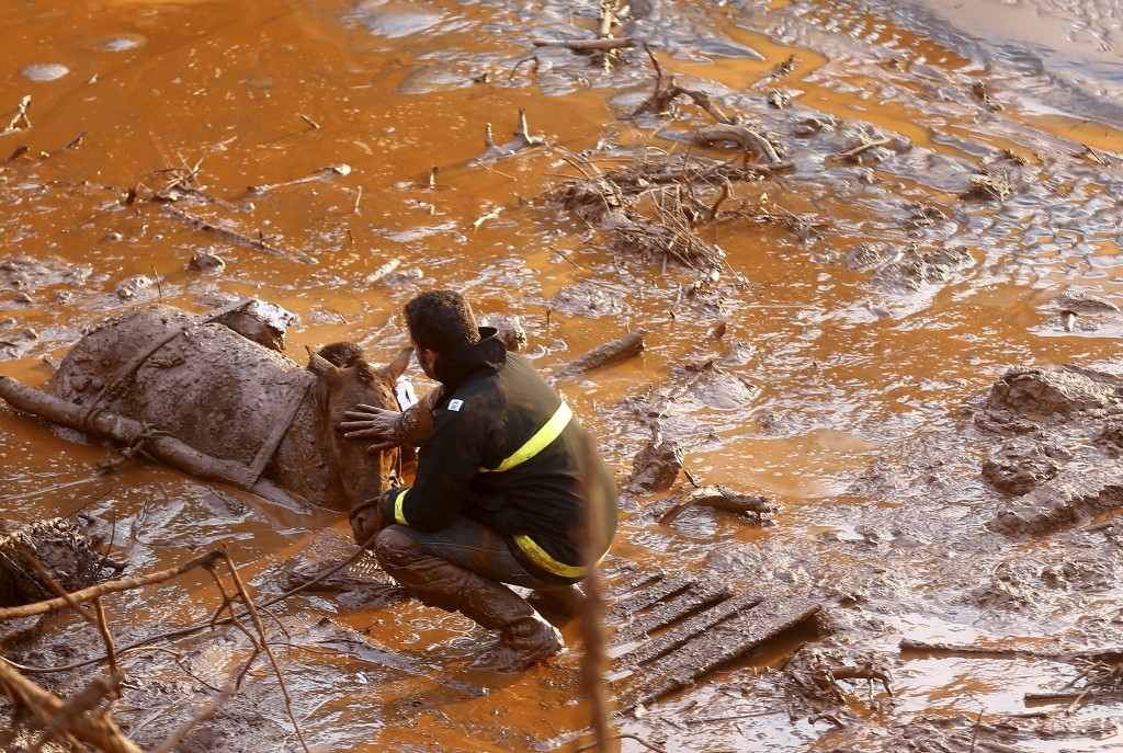70 Of The Most Touching Photos Taken In 2015 - A rescue worker comforts a horse as they attempt to save the animal following a mudslide in Mariana, Brazil.