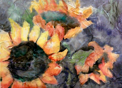 sunflower kovalenko maria pm posted