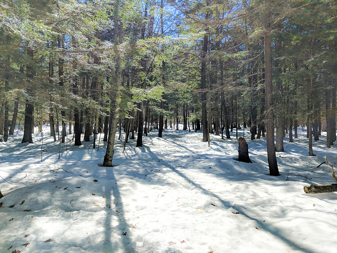 Snowshoeing Peninsula State Park in Door County
