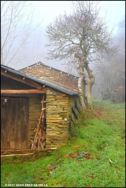 XOAN ARCO DA VELLA MOSTEIRÓ GOÓ O INCIO