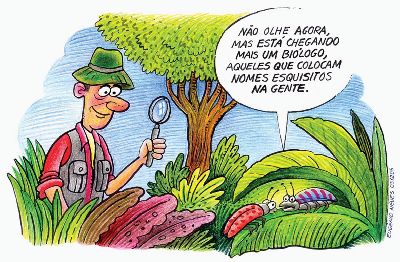 Como fazer referencias de trabalhos academicos Como fazer referencias de trabalhos academicos