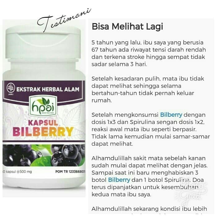 Kapsul Bilberry Hpai Nutrisi Suplemen Mata Minus Lelah Rabun Herbal
