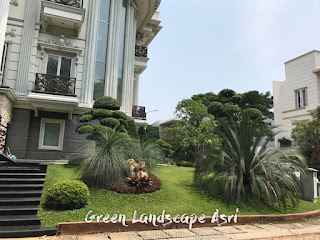 tukang taman, jasa taman pembuatan taman, jasa tukang taman, jasa pembuatan taman, tukang taman terdekat, membuat taman minimalis, tukang taman murah, tukang taman kudus, tukang taman pondok indah, buat taman minimalis, tukang taman lebak bulus, membuat taman mini, jasa taman rumah, harga pembuatan taman relief, bikin taman minimalis, jasa vertical garden, tukang kolam ikan koi, jasa pembuatan vertical garden, biaya pembuatan kolam minimalis per meter, tukang tanaman hias terdekat, tukang taman minimalis, tukang taman alam sutera, biaya pembuatan taman dan kolam minimalis, tukang kolam minimalis, biaya pembuatan taman, jasa buat taman, tukang taman vertikal, jasa desain taman, harga pembuatan taman, jasa taman minimalis, buat taman mini, biaya pembuatan kolam ikan minimalis, jasa pembuatan kolam minimalis, harga borongan taman 2020, jasa perawatan taman, harga taman per meter 2019, kontraktor landscape, tukang taman parung panjang, jasa pembuatan kolam ikan minimalis, harga borongan taman per m2, jasa bikin taman, jasa pembuatan taman minimalis, tukang taman vertical garden, harga jasa pembuatan taman per m2, tukang taman profesional, jasa taman vertikal, jasa landscape, tukang kolam koi, harga jasa pembuatan taman, tukang taman landscape, kontraktor taman, tukang taman rumah, tukang taman bsd city, jasa pembuatan taman rumah, landscape taman depan rumah, biaya membuat taman minimalis, jasa taman murah, ahli taman, harga pembuatan taman per m2, harga bikin taman per meter, tukang taman kebon jeruk, pembuatan taman minimalis, pembuatan taman rumah, tukang taman setiabudi, bikin taman mini, harga taman per meter, harga borongan taman 2019, tukang rumput gajah mini, biaya pembuatan taman minimalis, tukang rumput bsd, tukang buat kolam ikan koi, jasa desain taman rumah, jasa bikin kolam koi, jasa tanam rumput, harga jasa desain landscape, tukang bikin kolam ikan koi, jasa pembuatan taman dan kolam ikan, tukang taman martapura, tukang taman citraland, harga buat taman per meter, tukang tanaman hias, jasa kolam ikan minimalis, jasa pasang rumput gajah mini, biaya pembuatan vertical garden, membuat taman vertikal, biaya bikin taman, membuat taman rumah, jasa taman terdekat, jasa tanam rumput gajah mini, tukang rumput taman, jasa pembuatan taman murah, harga pembuatan kolam ikan minimalis, jasa pembuatan kolam ikan koi terdekat, rincian biaya pembuatan taman, jasa pembuatan taman vertikal, tukang taman cilebut, jasa buat taman rumah, tukang taman lenteng agung, tukang taman condet.