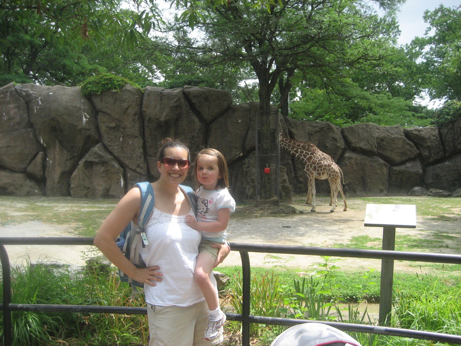 A Practical Approach to Family Summer Fun in Philly: Philadelphia Zoo ...