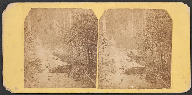 Stereo sawn timber Clifford & Nevin Port Arthur 1873
