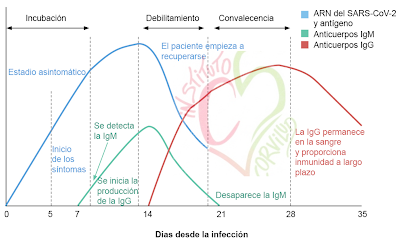 blog,ameliacarro,institutocorvilud,cardiologiadeportiva,cardiologogijon,testcovid19,testserologicos,rehabilitacioncardiaca,sarscov2,desescalada,desconfinamiento,COVID19,Digimevo,TestRapidos,PCR,coronavirus,vacuna,ministeriodesanidad,OMS,lavadodemanos,fenotipado,infección,pandemia,transformaciondigital,inmunidad,inmunoglobulinas,falsopositivo,falsonegativo,covidwarriors,EpidemiXs,coronabulos