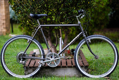 raleigh yukon bike
