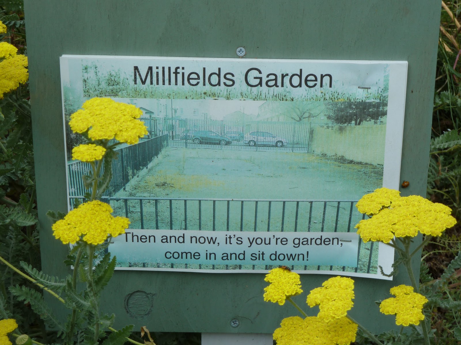 millfields millfields garden and allotment