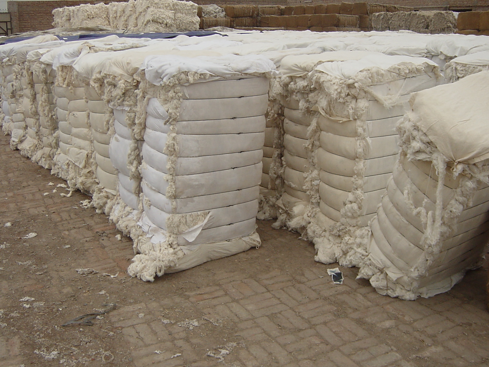 Prime Recycling Waste Industries.Pakistan COTTON WASTE