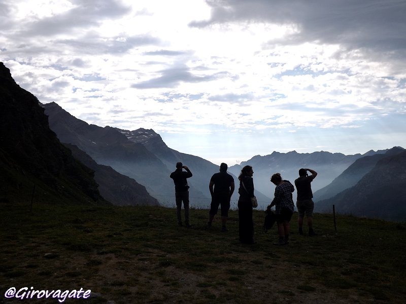 marmottaio Gran Paradiso Piemonte