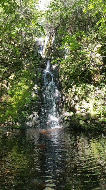 Chutes sur le sentier de la Montagne Blanche