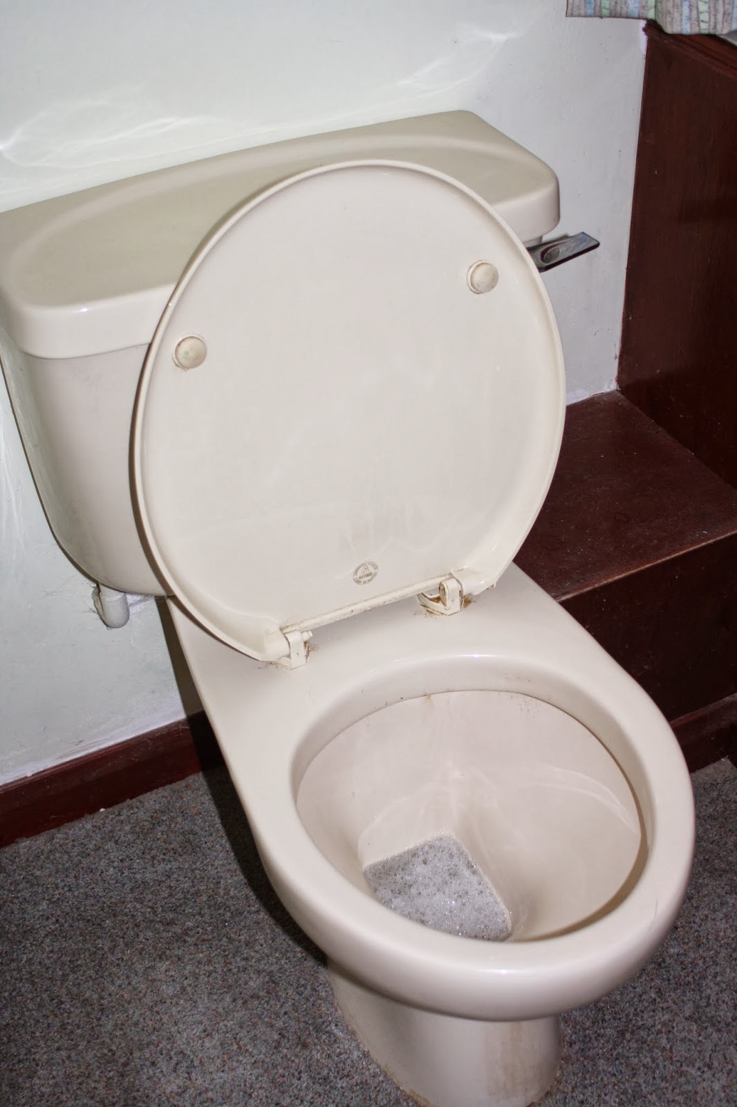 Toilet-new-house