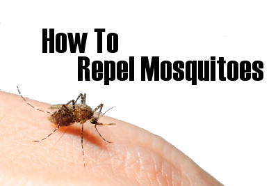 Best Mosquito Repellent