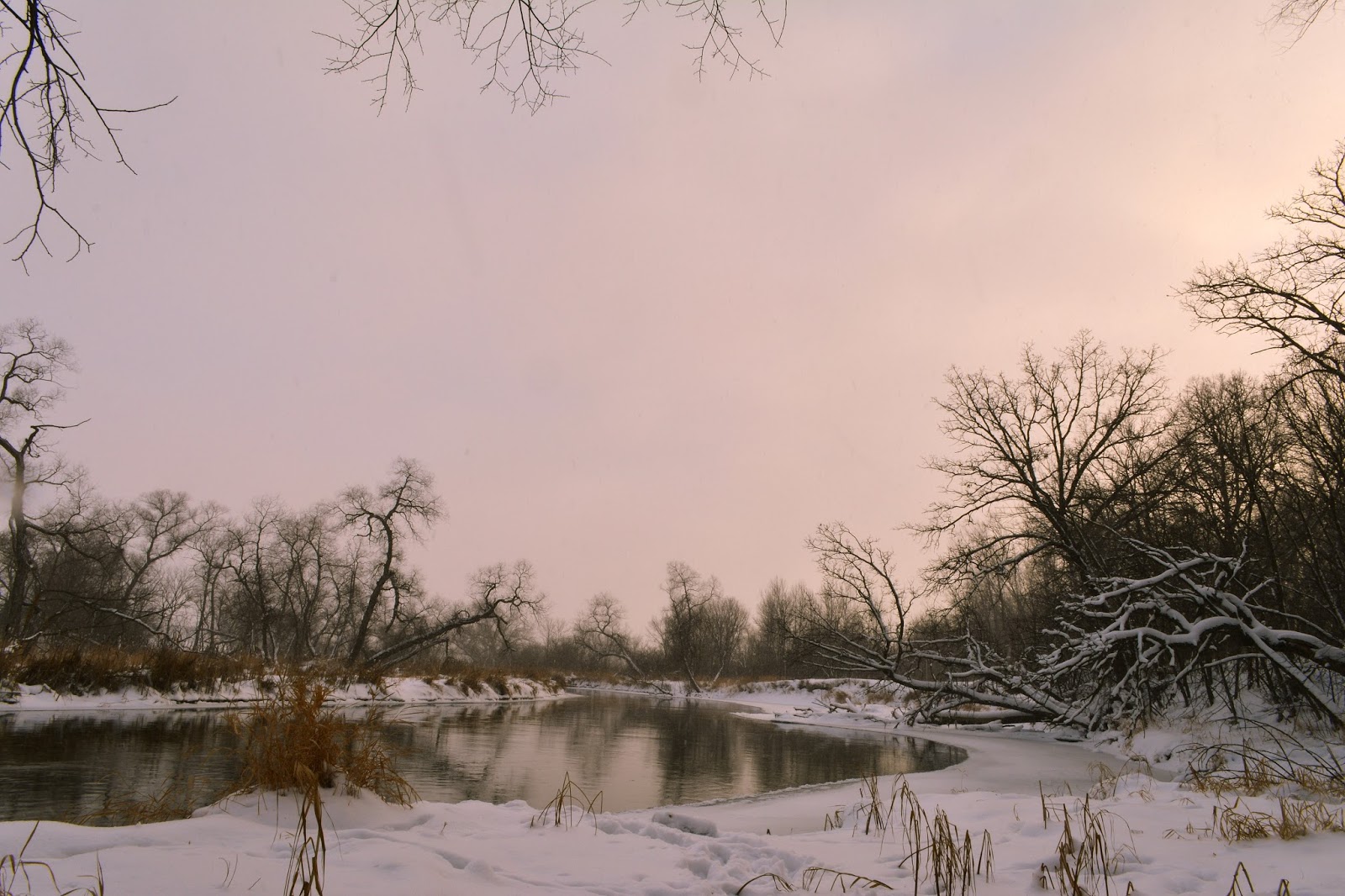 Abby K. Photography: The Four Seasons of the Otter Tail River