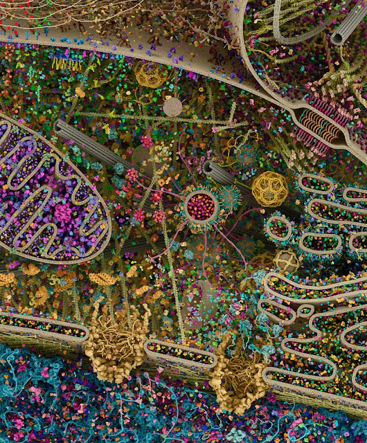 view-of-amusement-park-image-of-human-cell-model-leaves-netizens-mesmerised