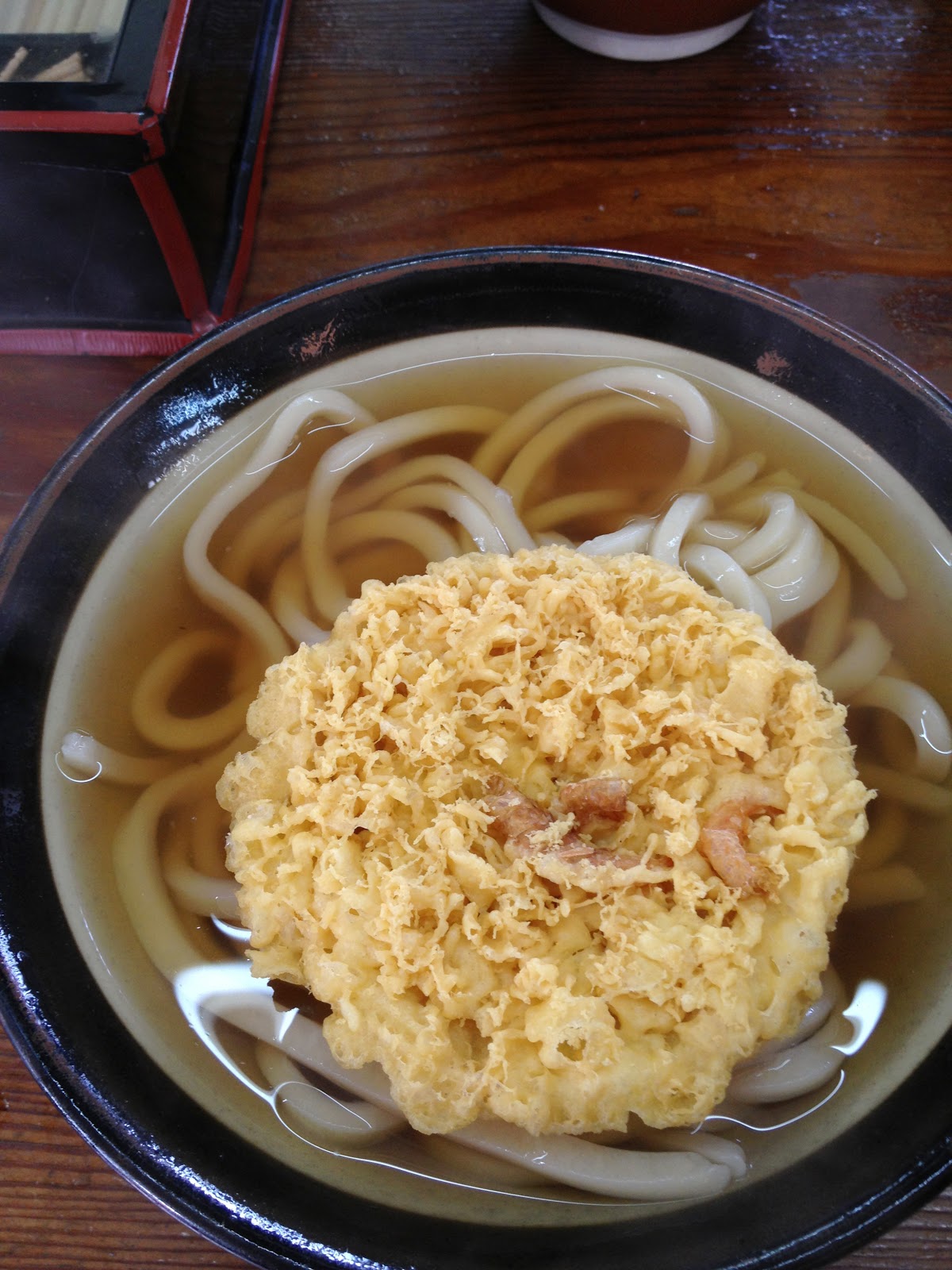 犬の体温:これはあなたの犬が熱があるかどうかを知る方法です