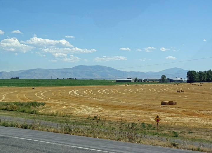 Reflections From the Fence Into Idaho, Declo Idaho The Estate Takes