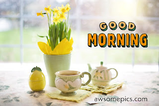 92+ Beautiful Good Morning With Tea Images, Pictures, Photos, Free Download