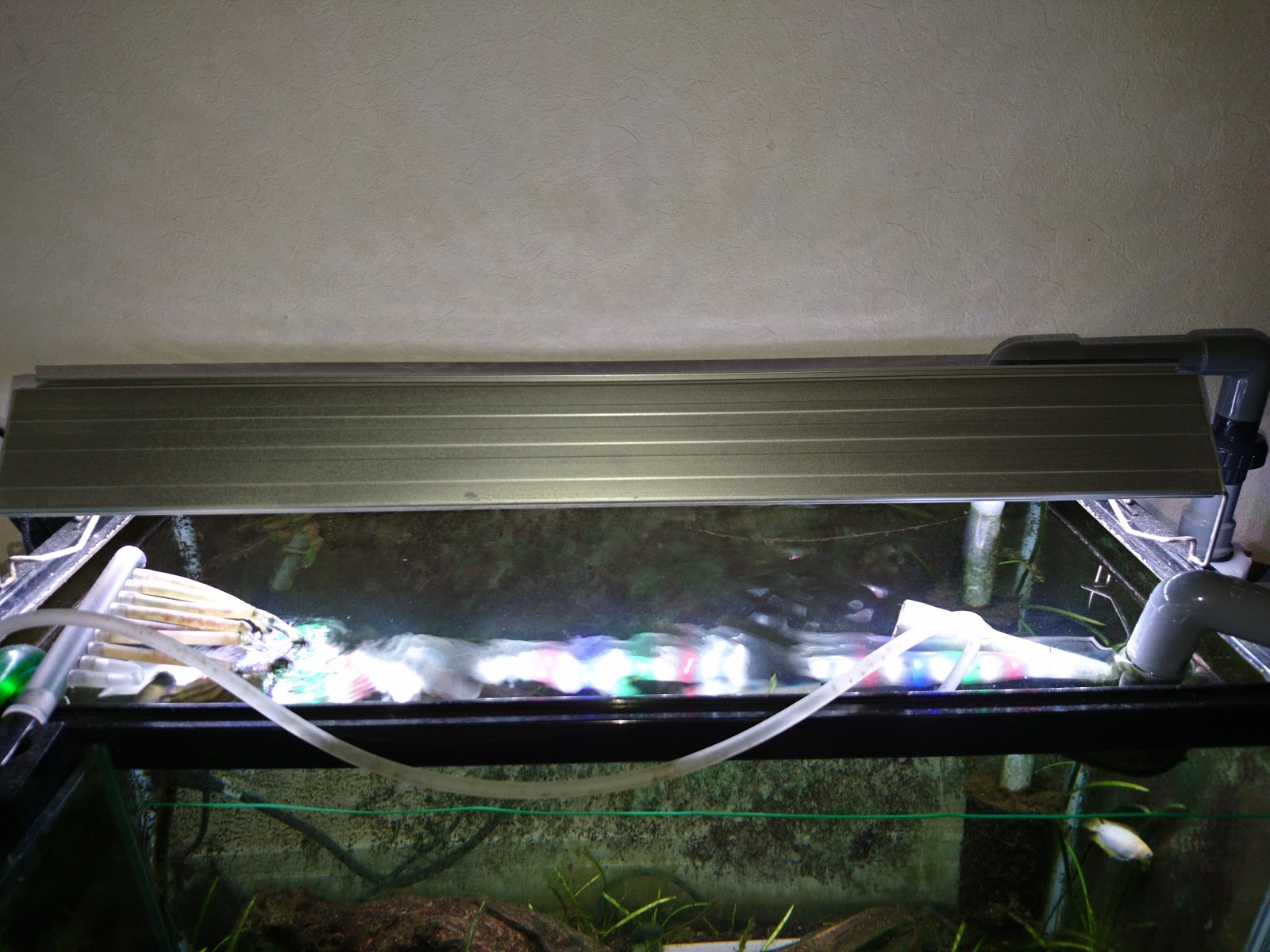 まったりといきます アクア 飼育環境の紹介2