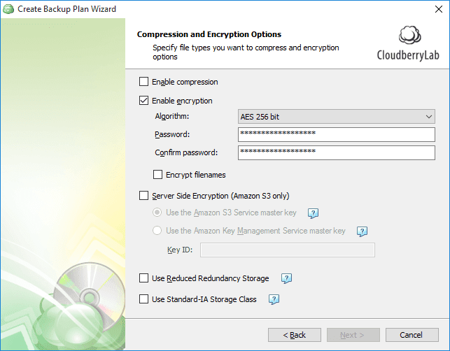 cloudberry backup enterprise edition crashing cloudberry backup enterprise edition crashing