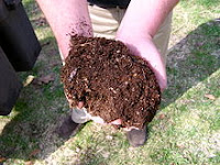 雑草戦争 絶対手抜きの堆肥作り 堆肥化