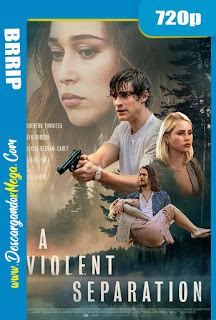 A Violent Separation (2019) HD 720p Latino 