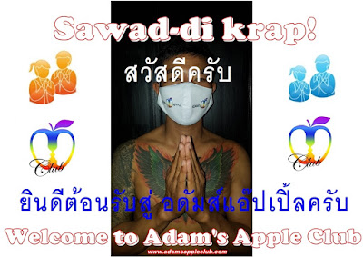 Sawad di khrap! Adams Apple Club Chiang Mai Gay Bar Thailand