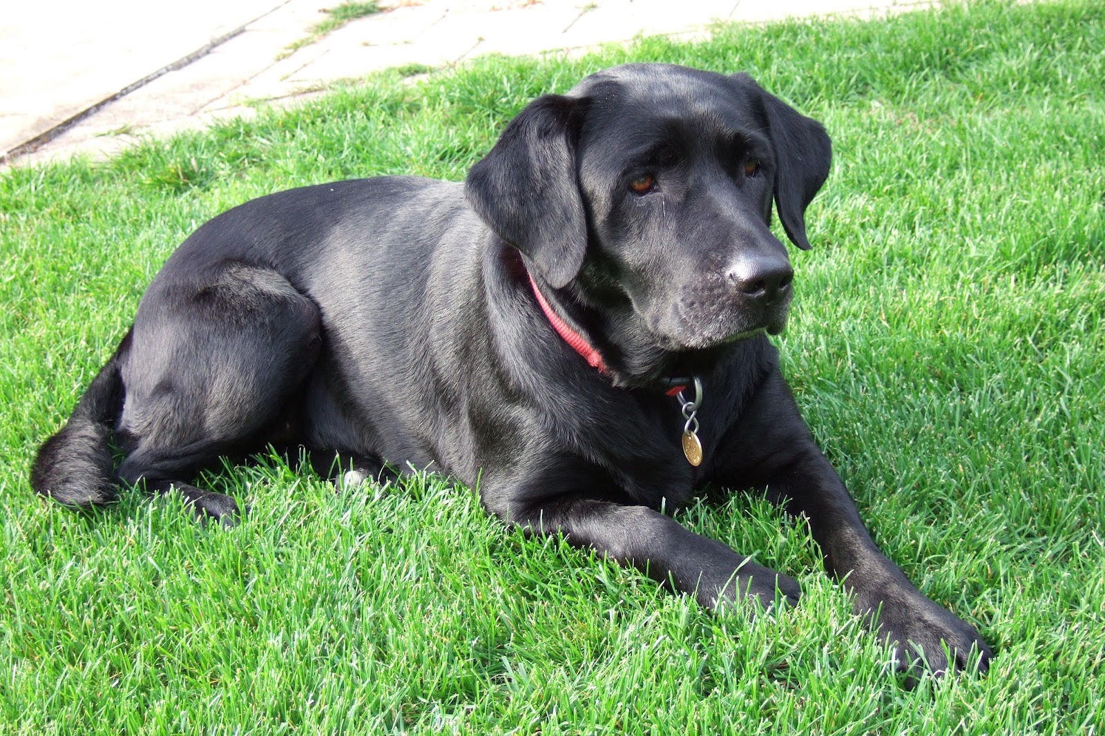 Faust Eine Tragodie Key Of Life