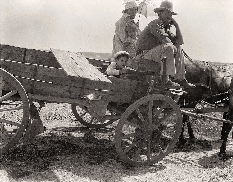 Heartbreaking Dust Bowl s photographs taken by Dorothea Lange during the 1930s - 59