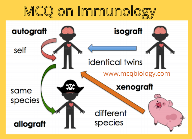 Immunology mcq - Type of Transplant -Autograft, Isograft,  Xenograft, Allograft