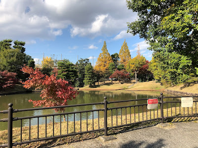 【枚方市】 以楽公園 秋の限定開放・美しい紅葉の日本庭園