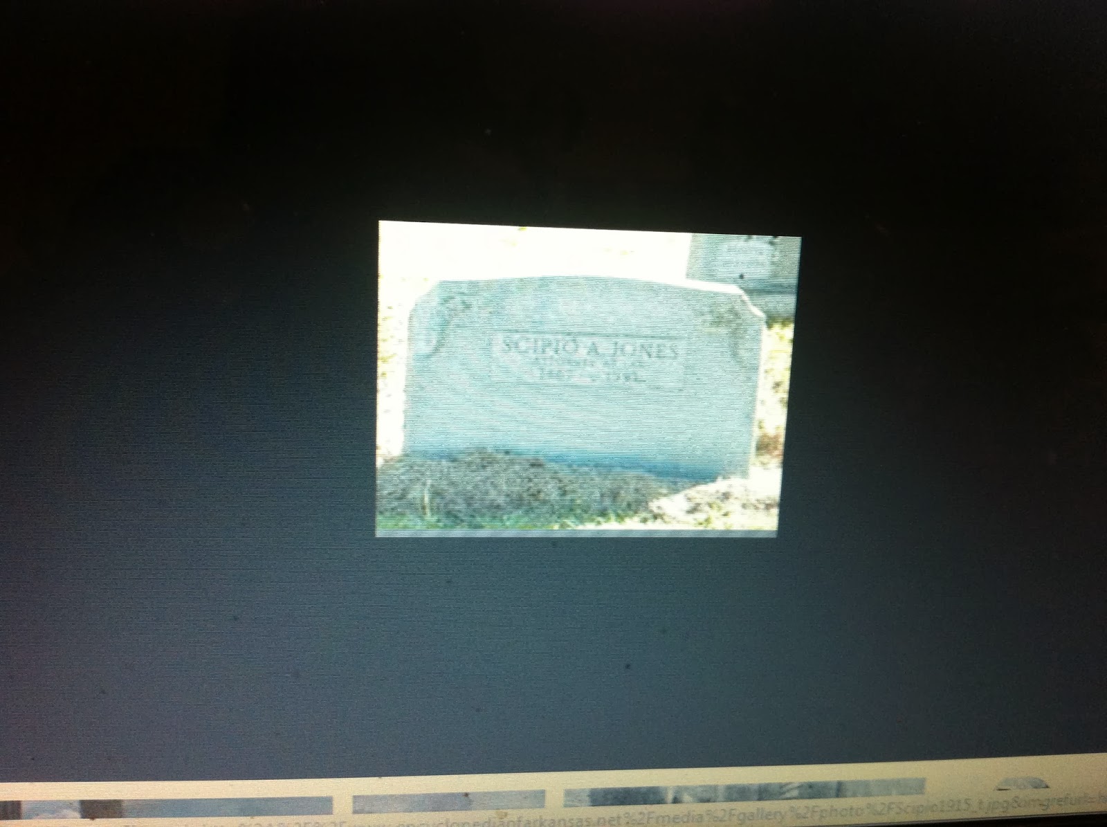 THE BLACK SOCIAL HISTORY BLACK SOCIAL HISTORY AFRICAN AMERICAN