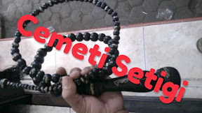 √ [77] Khasiat Cemeti/Cambuk Kayu Stigi Bertuah