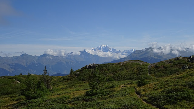 Mont Blanc, depuis la Montagne de Cherferie (Vanoise domestiquée)