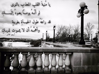 صور عن الوحدة alwahda رمزيات عن الوحده والبعد