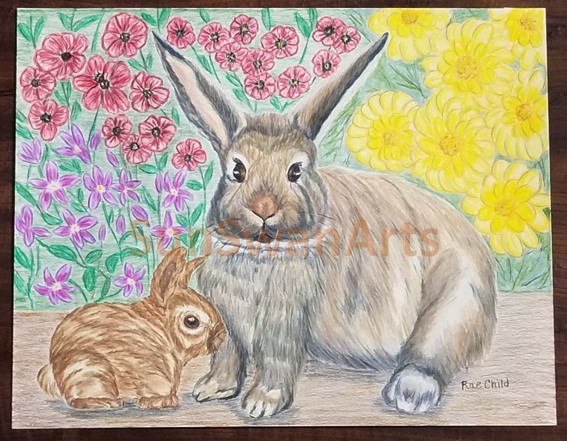 Портрет зайчика. Заяц цветными карандашами. Кролик цветными карандашами. Зайчик цветными карандашами. Кролик рисунок карандашом цветной.