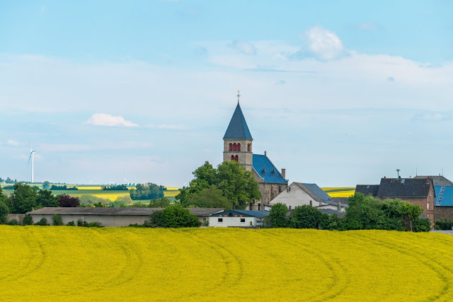 Traumschleife Dünnbach-Pfad - Saar-Hunsrück-Steig  Premiumwanderweg Kastellaun  Wandern im Hunsrück 12