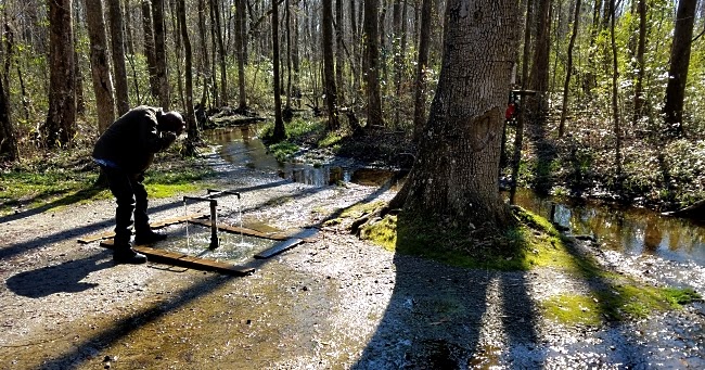 God's Acre Healing Springs (Blackville, SC) | Strange Carolinas: The