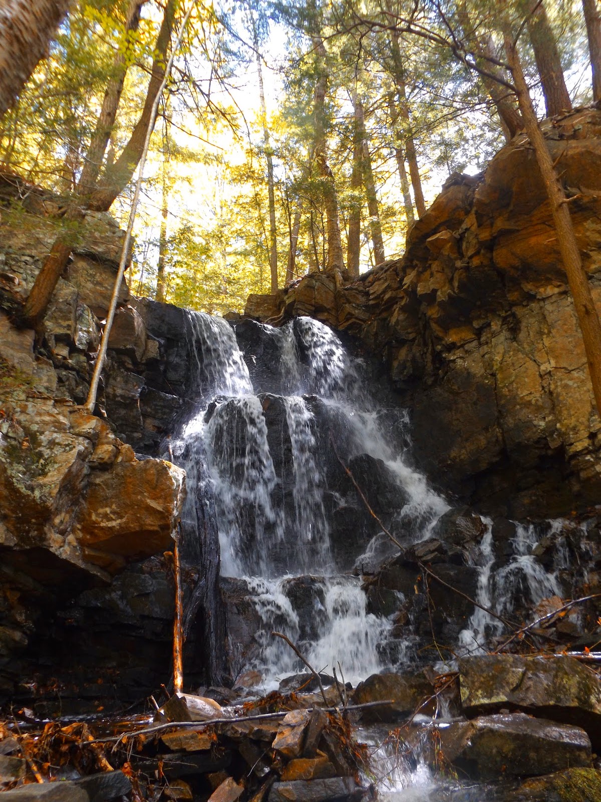 Walking Man 24 7 Pilot Knob Preserve/ Inman Pond(AdirondacksLake